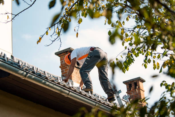 Best Flat Roof Repair Services  in Lebanon, IL